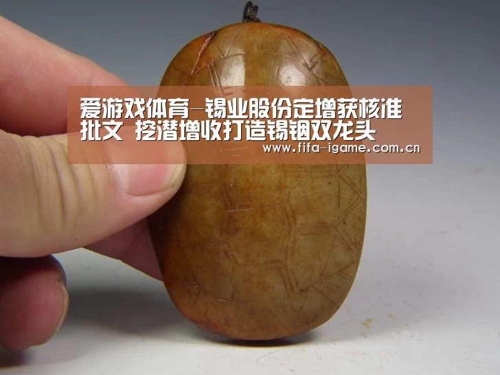 爱游戏下载