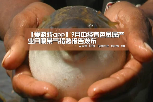 爱游戏下载