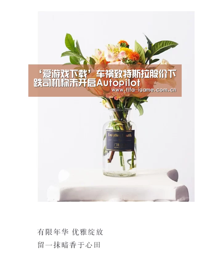 爱游戏app