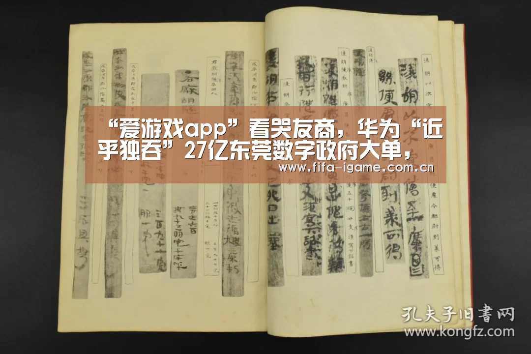 爱游戏体育