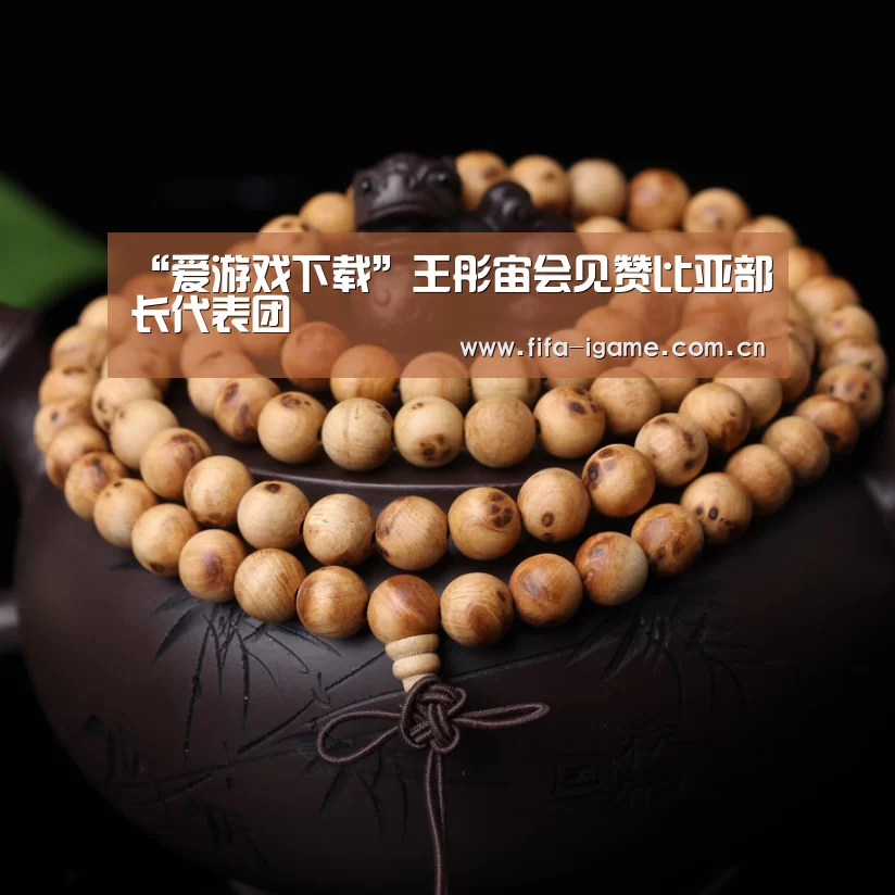 “爱游戏下载”王彤宙会见赞比亚部长代表团(图1) 爱游戏体育下载