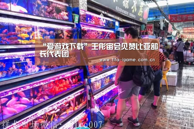 “爱游戏下载”王彤宙会见赞比亚部长代表团(图3) 爱游戏体育