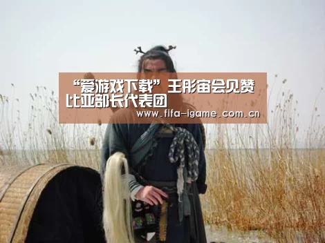 “爱游戏下载”王彤宙会见赞比亚部长代表团(图4) 爱游戏体育