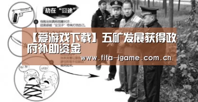 【爱游戏下载】五矿发展获得政府补助资金(图3) 爱游戏app