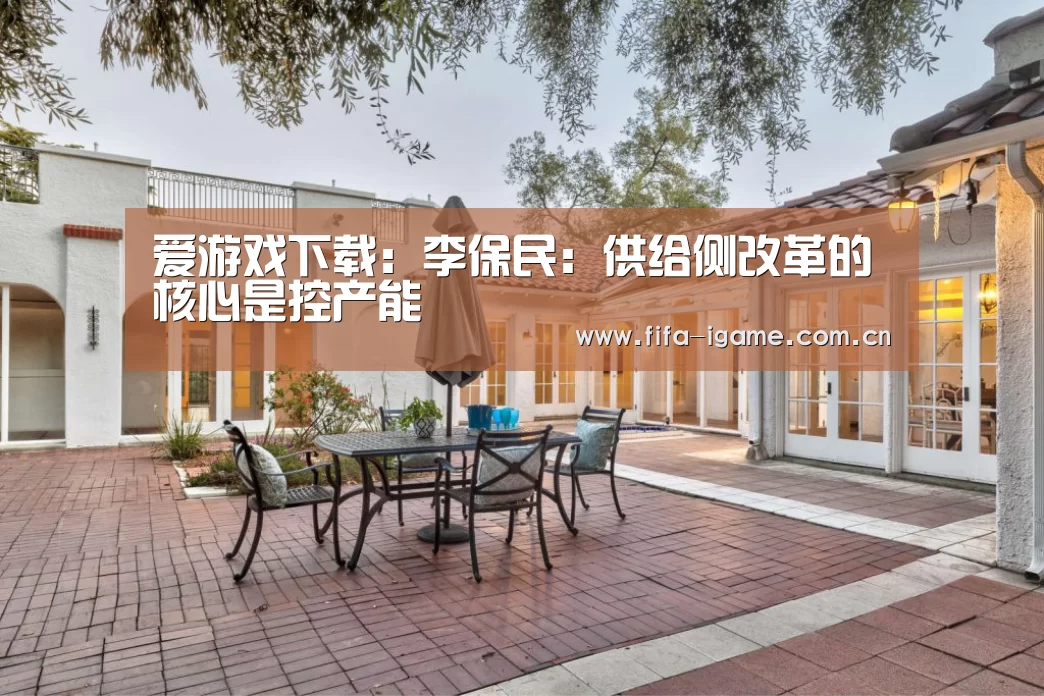 爱游戏下载:李保民:供给侧改革的核心是控产能(图1) 爱游戏app