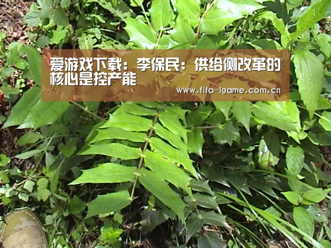 爱游戏下载:李保民:供给侧改革的核心是控产能(图3) 爱游戏体育下载